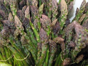 asparagus