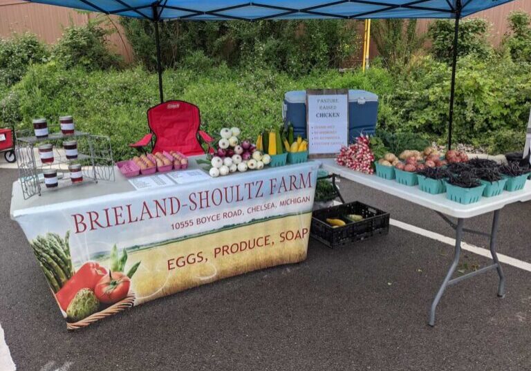 Brieland-Schoultz