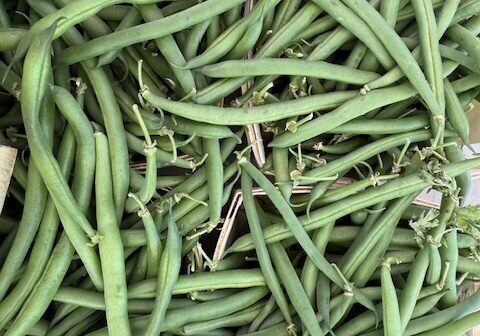Green Beans