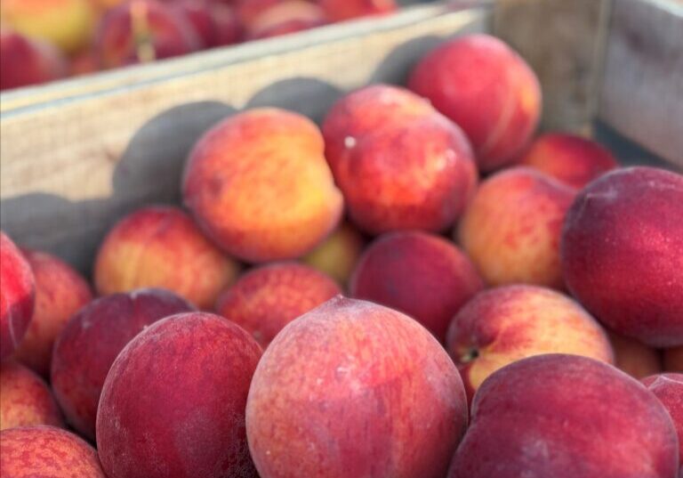 Peaches