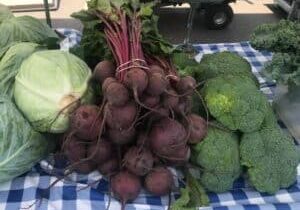 fall-veggies