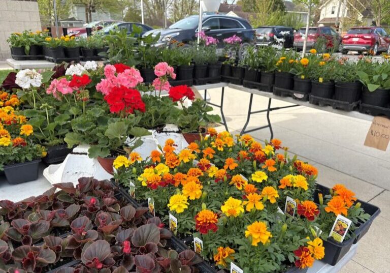 market flowers