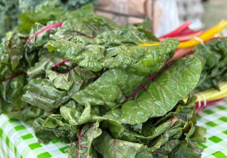 Look at this Swiss chard!