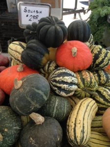 winter-squash